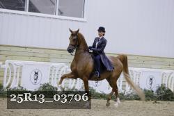 25R13_03706 thumbnail