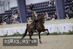 25R13_03710 thumbnail