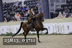 25R13_03711 thumbnail