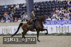 25R13_03712 thumbnail