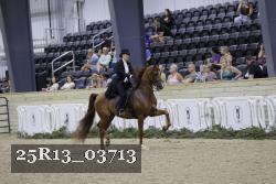 25R13_03713 thumbnail