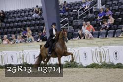 25R13_03714 thumbnail