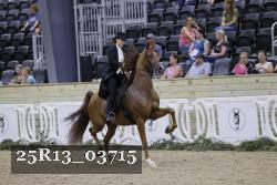 25R13_03715 thumbnail