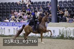 25R13_03716 thumbnail