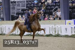 25R13_03717 thumbnail