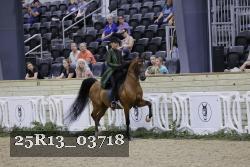 25R13_03718 thumbnail
