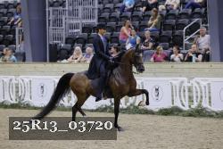 25R13_03720 thumbnail