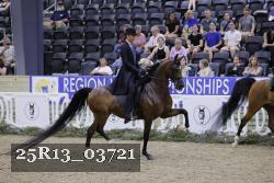 25R13_03721 thumbnail