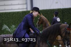 25R13_03723 thumbnail