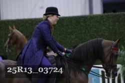25R13_03724 thumbnail