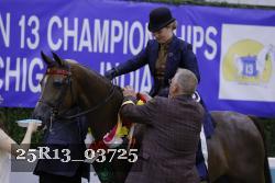 25R13_03725 thumbnail
