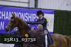 25R13_03732 thumbnail