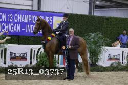 25R13_03737 thumbnail