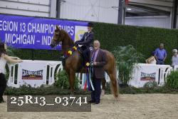 25R13_03741 thumbnail