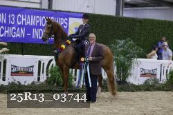 25R13_03744 thumbnail