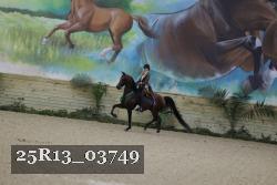 25R13_03749 thumbnail