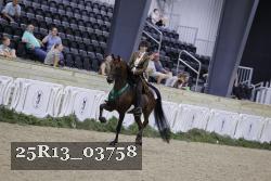 25R13_03758 thumbnail