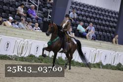 25R13_03760 thumbnail