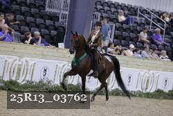 25R13_03762 thumbnail