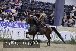 25R13_03766 thumbnail