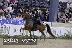 25R13_03770 thumbnail