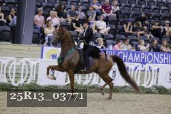 25R13_03771 thumbnail