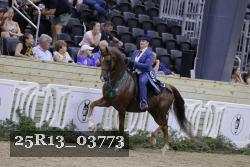 25R13_03773 thumbnail