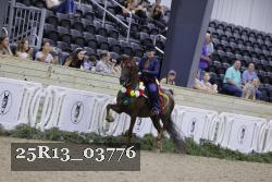 25R13_03776 thumbnail