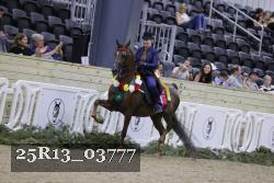 25R13_03777 thumbnail