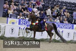 25R13_03780 thumbnail