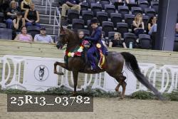 25R13_03782 thumbnail