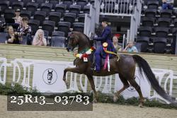 25R13_03783 thumbnail
