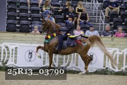 25R13_03790 thumbnail