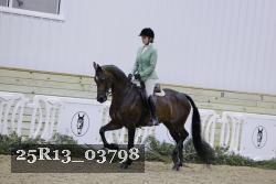25R13_03798 thumbnail