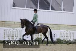 25R13_03799 thumbnail
