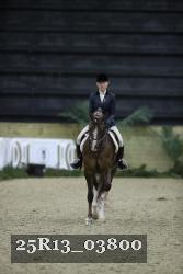 25R13_03800 thumbnail