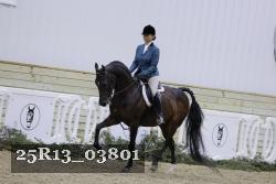 25R13_03801 thumbnail
