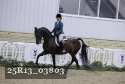 25R13_03803 thumbnail