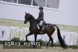 25R13_03805 thumbnail