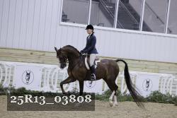 25R13_03808 thumbnail