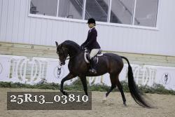 25R13_03810 thumbnail