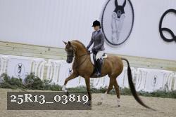 25R13_03819 thumbnail