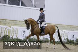 25R13_03820 thumbnail