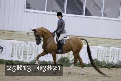 25R13_03821 thumbnail