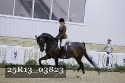 25R13_03823 thumbnail