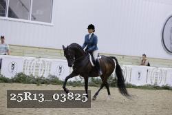 25R13_03825 thumbnail