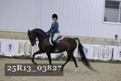 25R13_03827 thumbnail