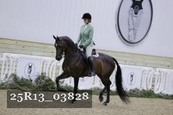 25R13_03828 thumbnail
