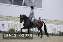 25R13_03829 thumbnail