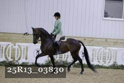 25R13_03830 thumbnail